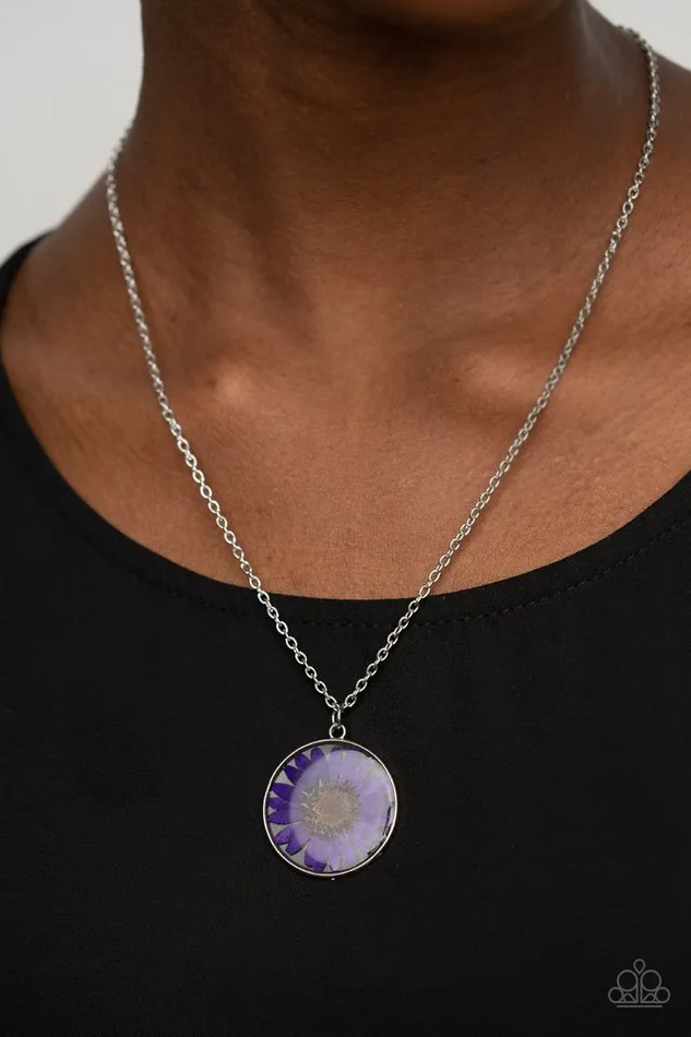 Necklaces Paparazzi Jewelry Paparazzi Necklace Prairie Promenade Purple