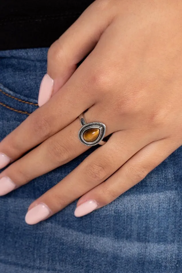 Rings Paparazzi Jewelry Paparazzi Ring Eco Elements Brown