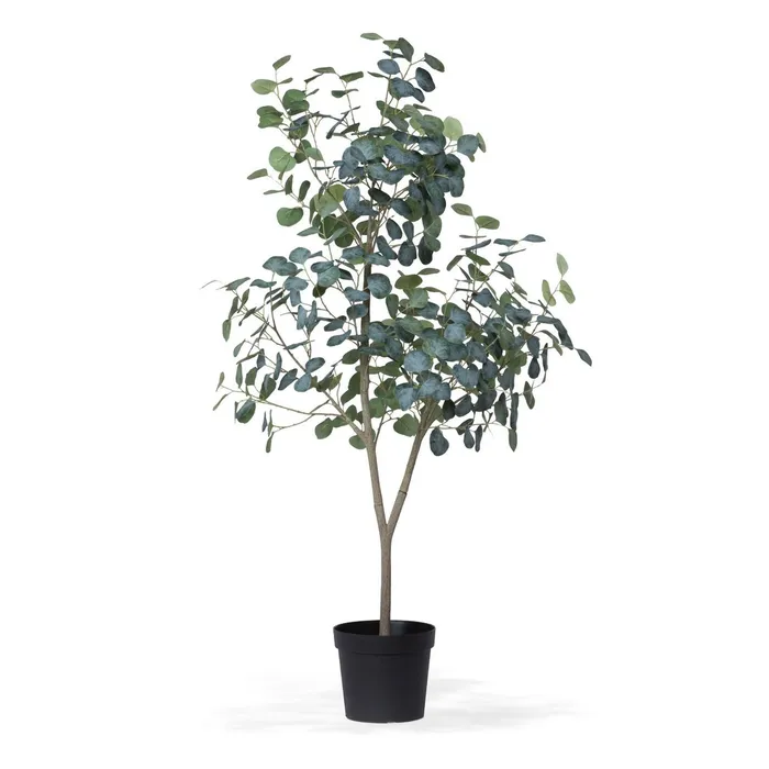 Park Hill Collection Eucalyptus Tree In GrowerS Pot 60 Park Hill Collection Necklaces