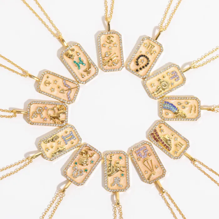 Zodiac Sign Birthstone Necklace Life Changing Energy Necklaces