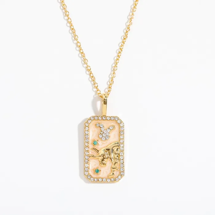 Zodiac Sign Birthstone Necklace Life Changing Energy Necklaces