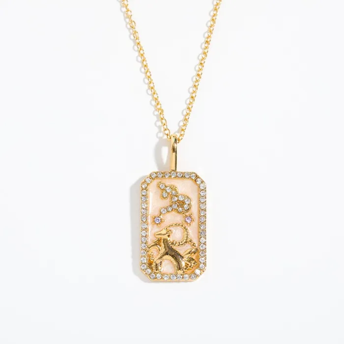 Zodiac Sign Birthstone Necklace Life Changing Energy Necklaces