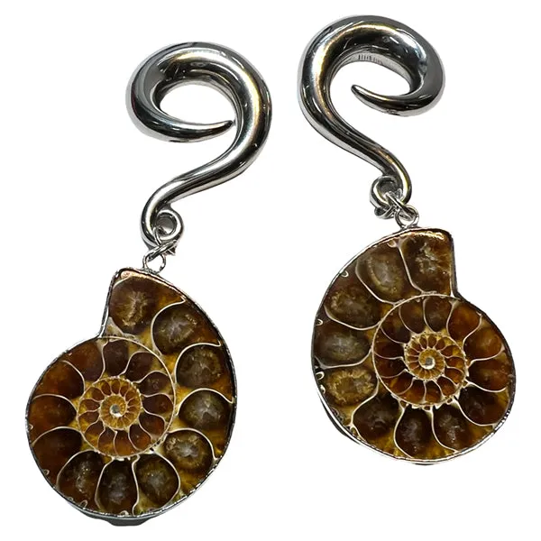 Bracelets Ammonite Stainless Hangers Tulsa Body Jewelry