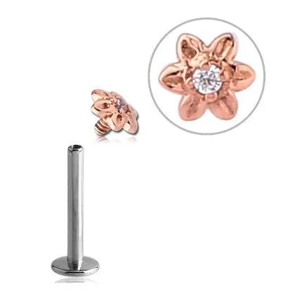 Earrings Tulsa Body Jewelry 16g 14k Gold CZ Flower Labret