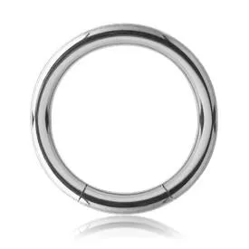 Tulsa Body Jewelry 16g Stainless Segment Ring Rings