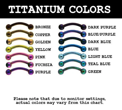 Tulsa Body Jewelry Rings Paved SideCZ Titanium Hinged Ring Tulsa Body Jewelry Rings Paved SideCZ Titanium Hinged Ring